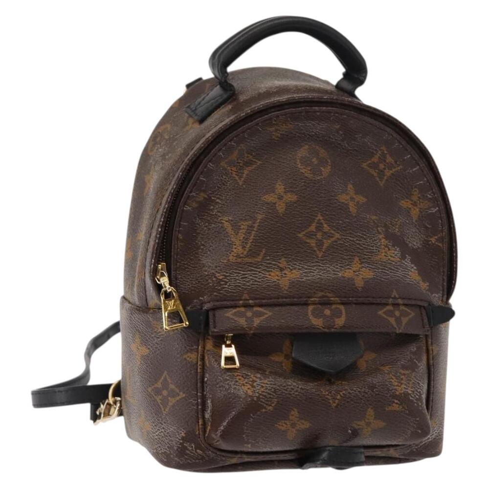 Louis Vuitton Palm Springs Mini #348867L93B